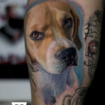 Beagle