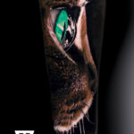 Katzenprofil