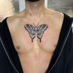 Schmetterling